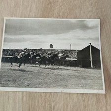 horse racing photos for sale horse racing photos for sale BOURNEMOUTH