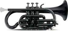 Mardibrass cornet strumenti usato  Spedire a Italy