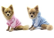Vêtements animaux adidog d'occasion  Nantes-