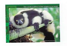 Madagascar lemurian variegatus d'occasion  Expédié en Belgium