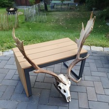 hirschgeweih gebraucht kaufen hirschgeweih gebraucht kaufen Ahrensbök