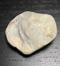 Opal clam shell for sale  Baltimore