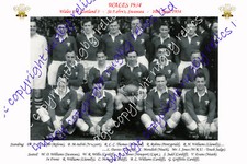 Wales 1954 rugby for sale  NEATH