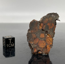 Sericho pallasit meteorit gebraucht kaufen  Hamburg
