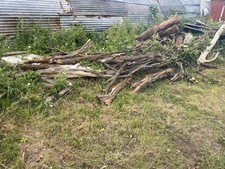 Firewood for sale  BARNSLEY