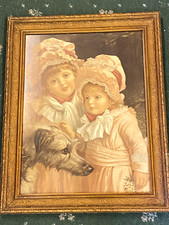 Rare large scottish for sale  WARRINGTON