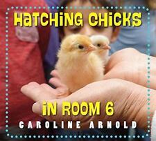Hatching chicks room for sale  USA