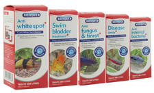 Interpet aquarium fish for sale  KETTERING