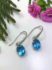 Blautopas hrhänger swiss gebraucht kaufen  München