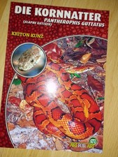kornnatter gebraucht kaufen kornnatter gebraucht kaufen  Fürth