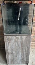 Nano reef fish for sale  BEXHILL-ON-SEA