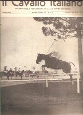 Cavallo italiano equitazione usato  Italia