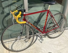 Rosa roadbike campagnolo for sale  New Brunswick