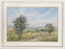 Brian bennett hertfordshire for sale  WAREHAM