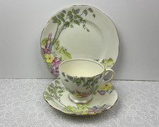 Foley china brain for sale  BLACKBURN