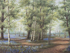 Patricia forrest original for sale  WALSALL