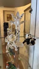 Swarovski crystal scs for sale  UK