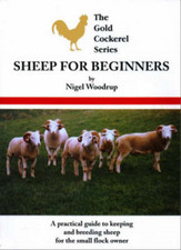 Sheep beginners nigel for sale  UK