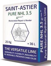 Saint astier nhl for sale  BELFAST