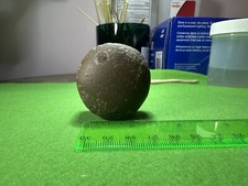 Kentucky artifact roller for sale  Lexington