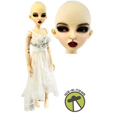 Dollmore zinna gossip for sale  Birmingham