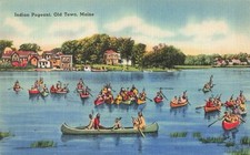 Native american indian for sale  Lake Ann