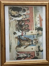 Louis wain good for sale  WESTERHAM
