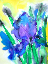 Original watercolour ink for sale  ST. ALBANS