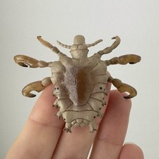 Mini boneco Crab Louse Kaiyodo cápsula Q Gachapon, estatueta de inseto comprar usado  Enviando para Brazil