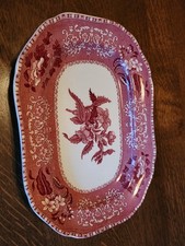 Spode copeland pink gebraucht kaufen  Gillenfeld