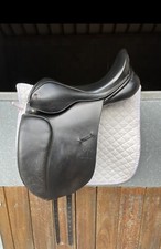 Spalding britannica dressage for sale  MACCLESFIELD