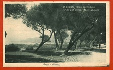 Sapri salerno oliveto usato  Roma