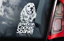 Américain cocker spaniel d'occasion  Expédié en France