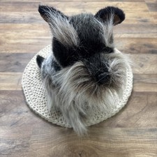 Dan dee schnauzer for sale  Warwick