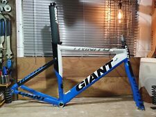 50cm giant trinity for sale  NEWTON ABBOT