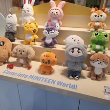 SEVENTEEN brinquedo de pelúcia MINITEEN HOUSE PARTY SEVENTEEN Personagem Oficial, usado comprar usado  Enviando para Brazil