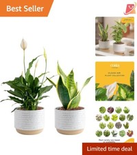 Live plants natural for sale  Sheridan
