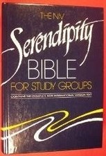 Niv serendipity bible for sale  Depew