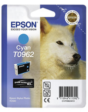 Epson t0962 rig gebraucht kaufen  Mönchengladbach