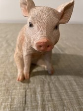 Sitting baby pig for sale  Collierville