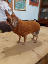 Trixie small dog for sale  OTLEY