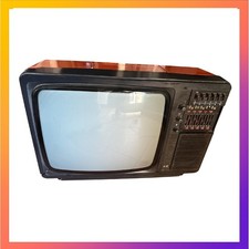 Vintage televisore portatile usato  Villarbasse