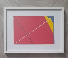 Grazia varisco serigrafia usato  Cassano d'Adda