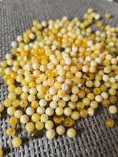 Natural baltic round for sale  BIRMINGHAM