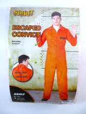 Spirit halloween costume for sale  Lincoln