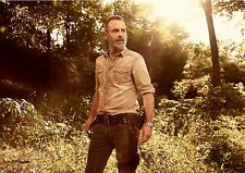 Rick grimes walking for sale  THATCHAM