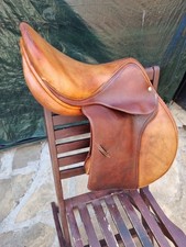Luc childeric pony for sale  CHELMSFORD