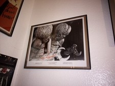 THIS ISLAND EARTH Rex REASON podpisany mutant BW metaluna na sprzedaż  Wysyłka do Poland