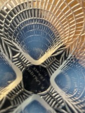 Lalique coquilles opalescent for sale  Laguna Beach