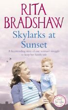 Skylarks sunset rita for sale  UK